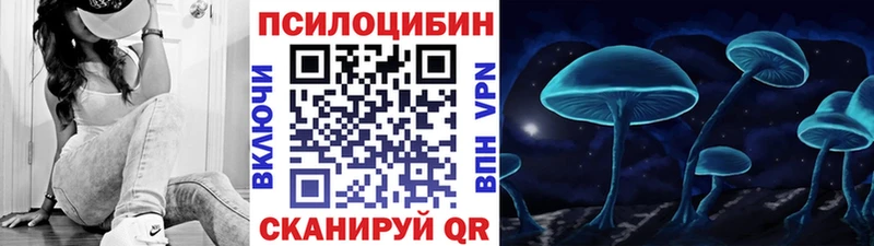 купить наркотик  Торопец  Галлюциногенные грибы Psilocybe 